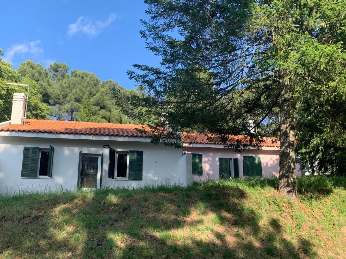 Vila Bel Douro Torre De Moncorvo Exteriér fotografie